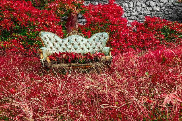 Royal sofa in nature