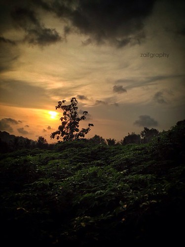 Nature by thaai.rebel, uploaded:by=flickrmobile flickriosapp:filter=nofilter