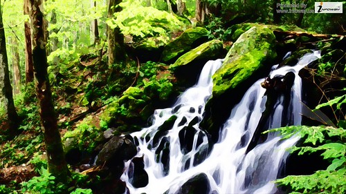 HD Nature Background Image | by Infoway LLC - Website Development Company