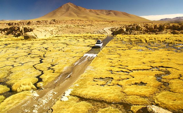 Colors land. On my way to the Salar De Uyuni salt lake, beetween Tupiza & Uyuni . Altiplano. Potosi. Bolivia. ( Explored ).