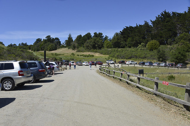 There were lots of people at the preserve this afternoon.  The parking lot was nearly full, and lots of cars were parked on Alpine Road adjacent to the preserve.