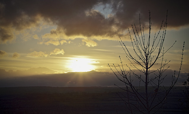 Rainton Meadows Setting Sun.