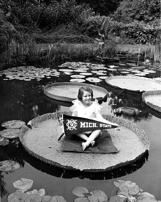 Girl Sits On A Lily Pad In Beal Garden 1938 A Young Girl Flickr