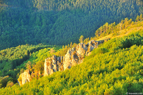 nature sunrise woods rocks bulgaria природа rodopi родопи гора българия изгрев скали бялачерква