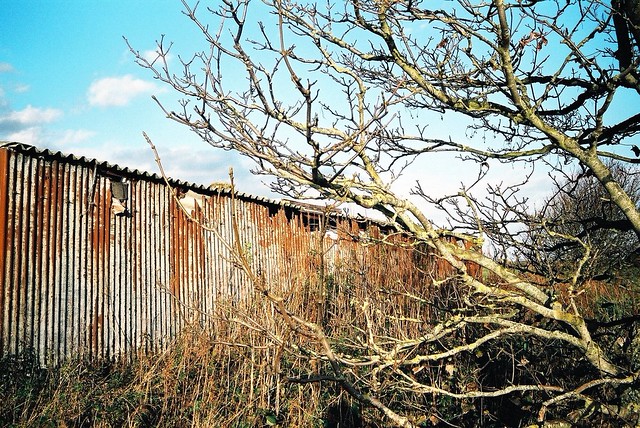 Rust
