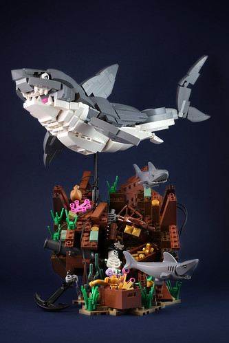 Sharks Treasure-1