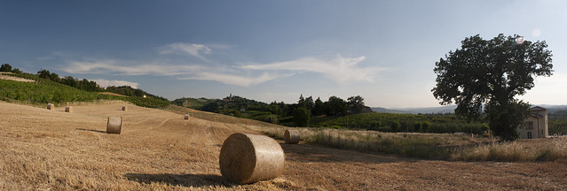 Panorama of Savignano