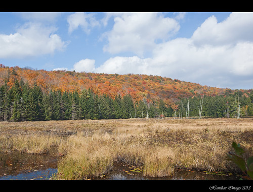 trees fall colors canon october vermont foliage maples polarizingfilter 1635mm whitingham 2013 southernvermont img3458 5dmarkii