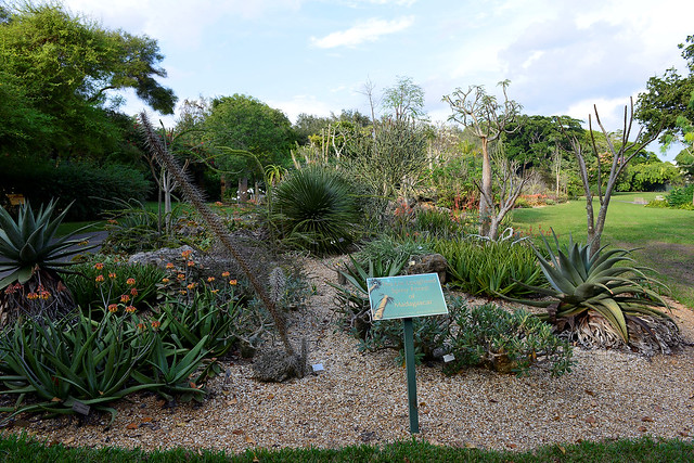 Fairchild Tropical Botanic Gardens in Miami, Florida.