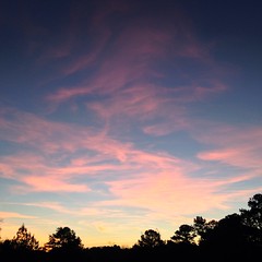 Pink Cloud Sunrise 12.19.13