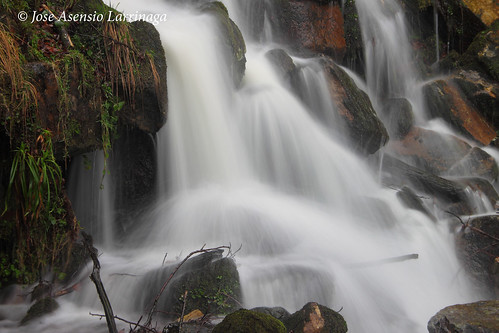 Parque natural de #Gorbeia #DePaseoConLarri #Flickr 6274