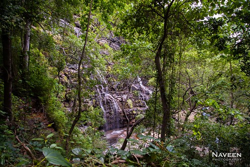 wild forest trekking waterfall nationalpark hiking monsoon