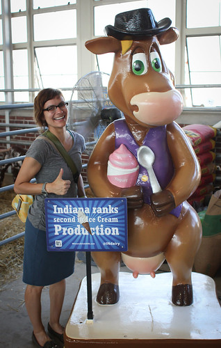 Indiana State Fair | by DensityWave