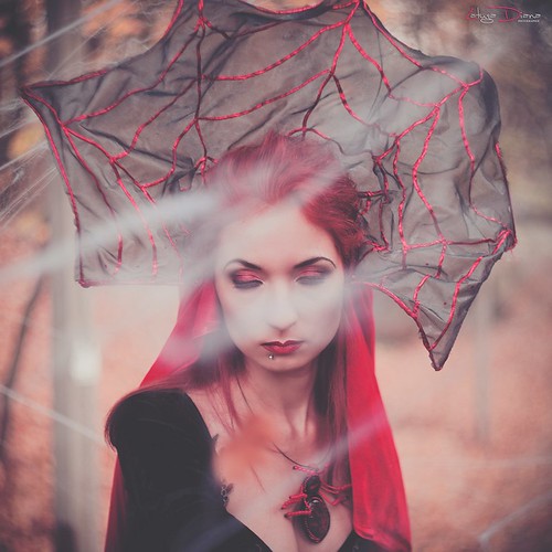 Queen of the spiders | Photographer Diana Latuga | Червона Ворона | Flickr
