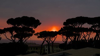 pini marittimi - sunset and rain