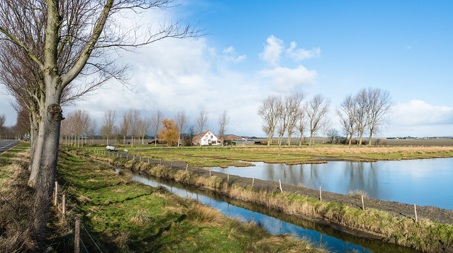 Rural Dutch landscape