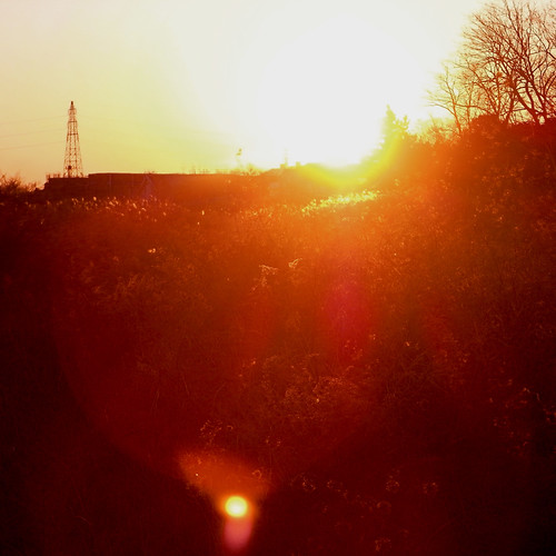 sunrise by akhr1961, sun tree dazzling r10