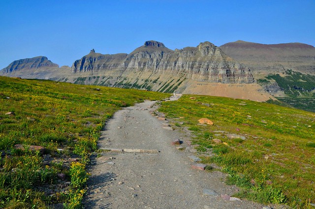 Trail by Logan Pass