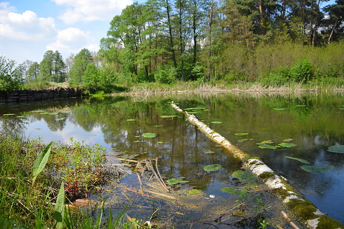 forgotten pond water nature spring blue green trees reflections łódzkie lodzkie polska poland landscape view