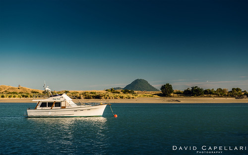 sea newzealand david port island yacht vision motoryacht damp whakatane capellari moutohora davidcapellari