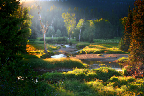 morning light mist field fairytale creek sunrise canon landscape dawn stream meadow sigma idaho 7d magical goldenhour mccall lightbeam payettelake valleycounty 1750mm