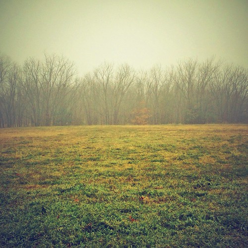 trees winter mist ice fog arlington composition forest square landscape dallas woods skies texas tx gray perspective foggy freeze squareformat foggymorning 2014 arlingtontx whateveryouare josephhaubert instagram uploaded:by=flickrmobile flickriosapp:filter=nofilter