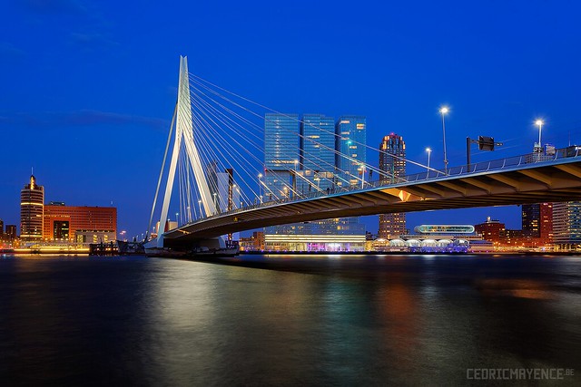 Rotterdam - Erasmus Bridge (NL)