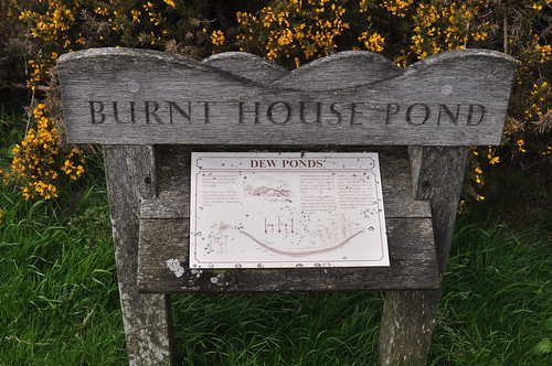 Burnt House Pond Dew Pond sign