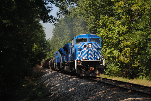 CIT- CEFX -  133  cuts through the deep woods near Terra Haute Indiana with a southbound local.