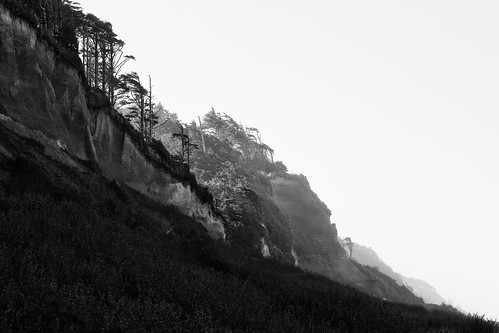 blackandwhite landscape beach pacificnorthwest nature mist contrast canoneos5dmarkiii canon135mmf2lusm cliff monochrome washington