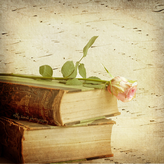 Old books and a rose - Explored # 11