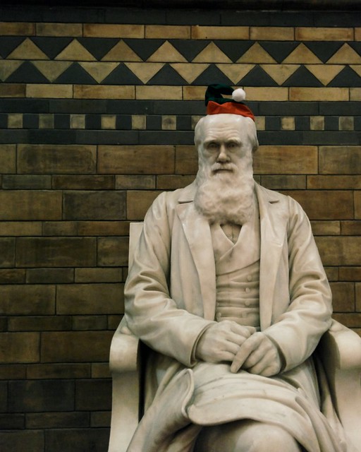 Charles Darwin getting into the Christmas spirit.
