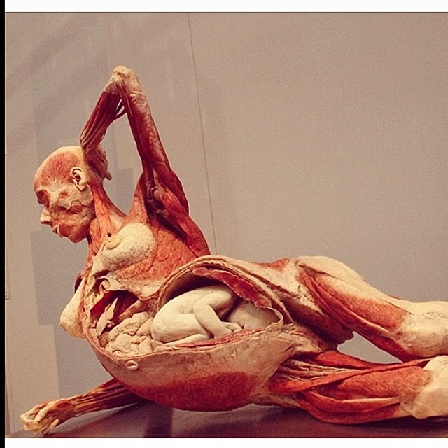 Real Female Autopsy Photos real-female-autopsy-photos