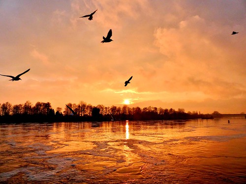 sunset germany bremen riverweser
