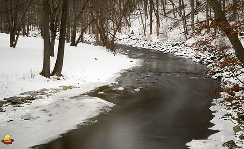 longexposure morning winter snow ny newyork cold ice creek river flow outdoors stream quiet hiking peaceful icy akron murdercreek