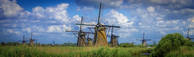 The windmill family