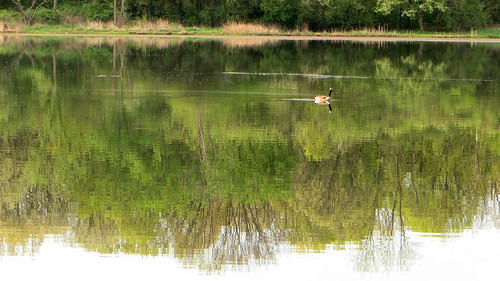 lake reflection water us illinois maple fishing may goose willow springs 2013