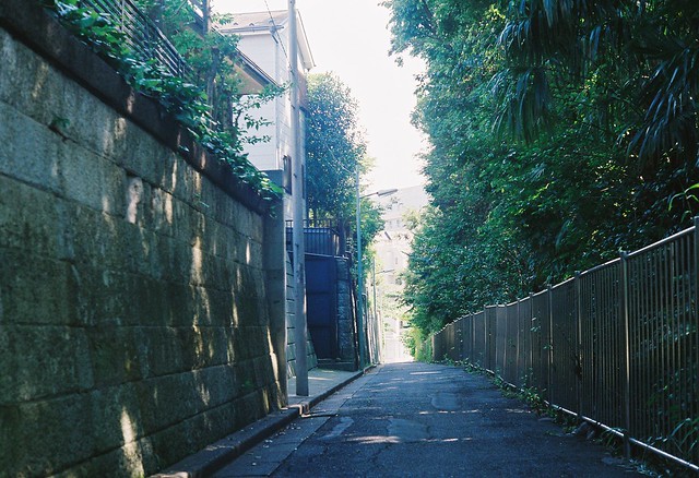 an alley in the green
