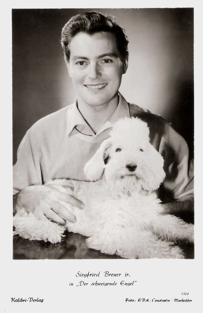 robert l siegfried jr net worth - Ilustrasi 3