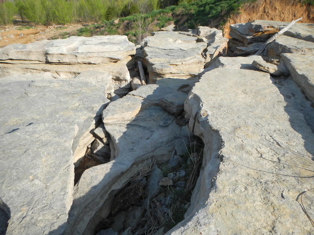 Cove Hollow Trail