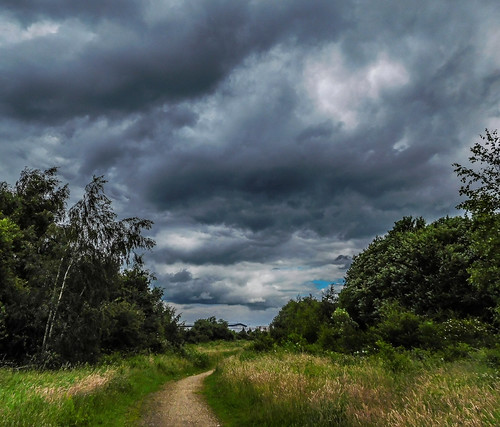 waiting for rain to fall | by watergypsyrach