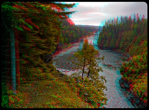 autumn plants lake ontario canada tree fall america creek forest radio canon river landscape eos stereoscopic stereophoto stereophotography 3d woods raw control north kitlens twin anaglyph stereo backcountry stereoview outback remote spatial 1855mm hdr province redgreen 3dglasses hdri kakabekafalls indiansummer transmitter stereoscopy synch anaglyphic optimized in threedimensional stereo3d cr2 stereophotograph anabuilder synchron redcyan 3rddimension 3dimage tonemapping 3dphoto 550d stereophotomaker 3dstereo 3dpicture anaglyph3d yongnuo stereotron