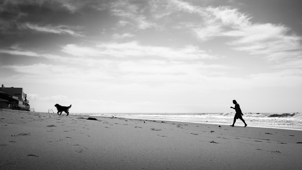 Walking the dog - Malibu, United States - Black and white street photography
