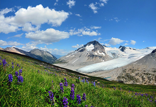A Month Without Hiking?! | by Christopher J. Morley