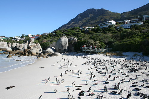 Cape Town
