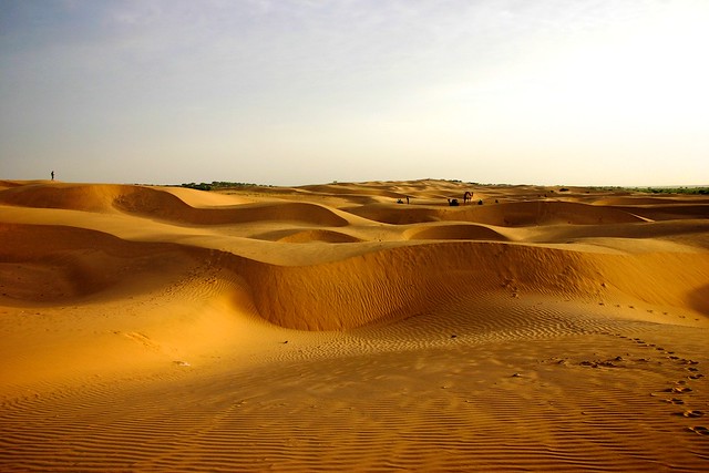 Thar Desert [Explore #5 14-06-2013]