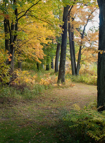 pathway | by Gab1970