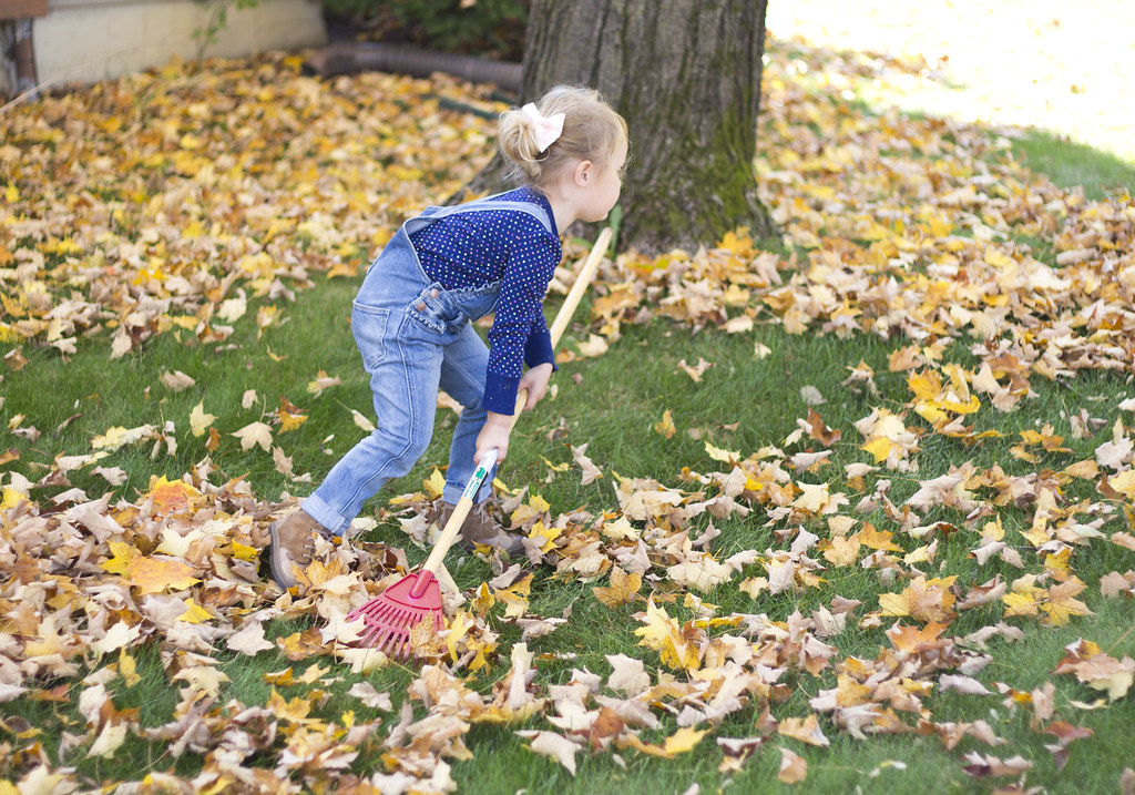 fall
