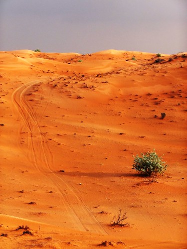 winter nature rain desert natural uae arabia environment sands rak unitedarabemirates rasalkhaimah