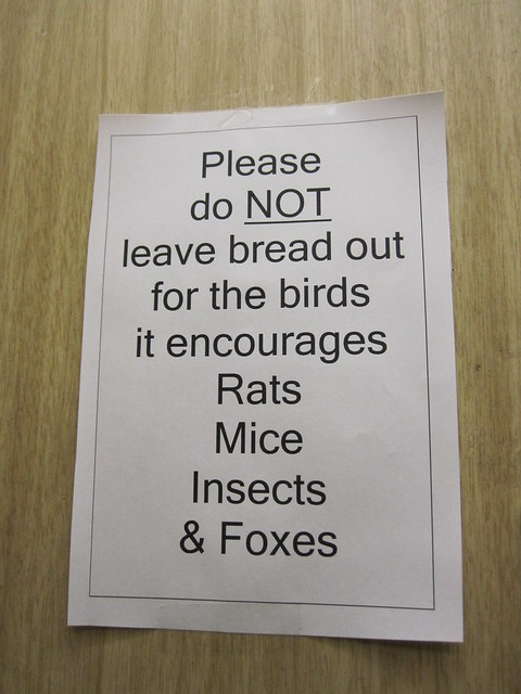 Notice  - do NOT feed  . . .